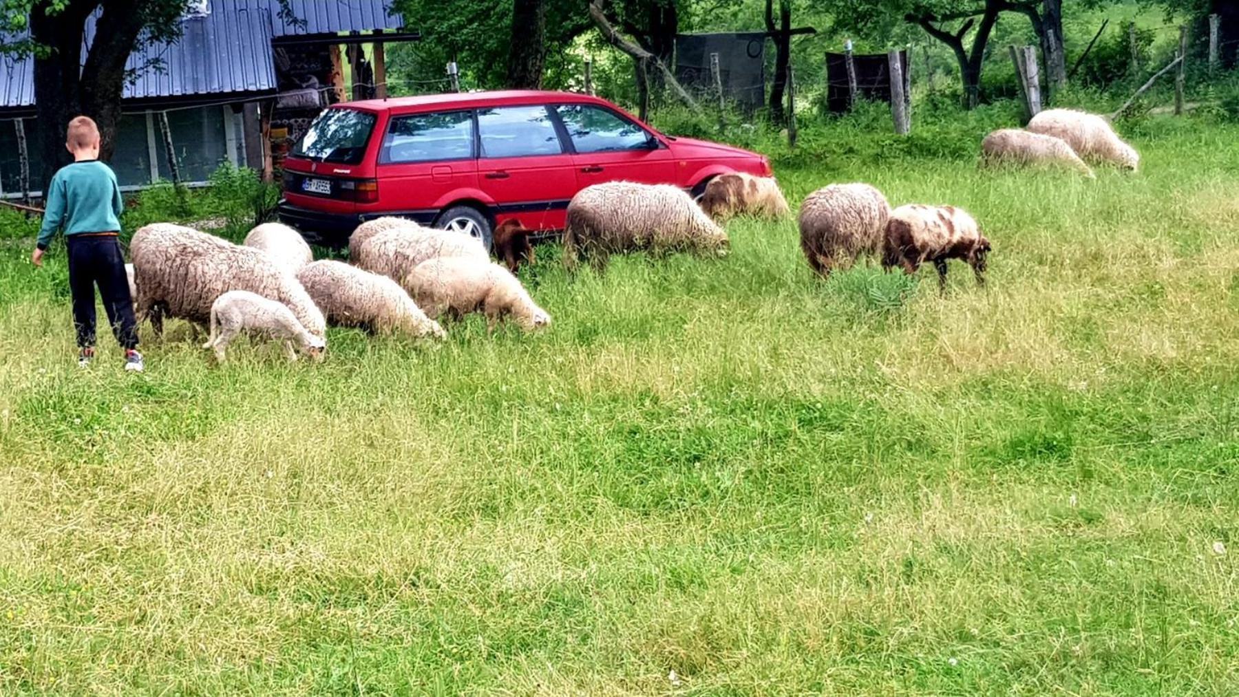 Bungalows Malagic Gusinje Zewnętrze zdjęcie