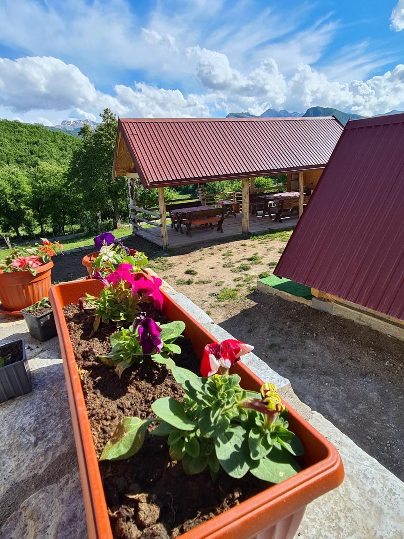 Bungalows Malagic Gusinje Zewnętrze zdjęcie